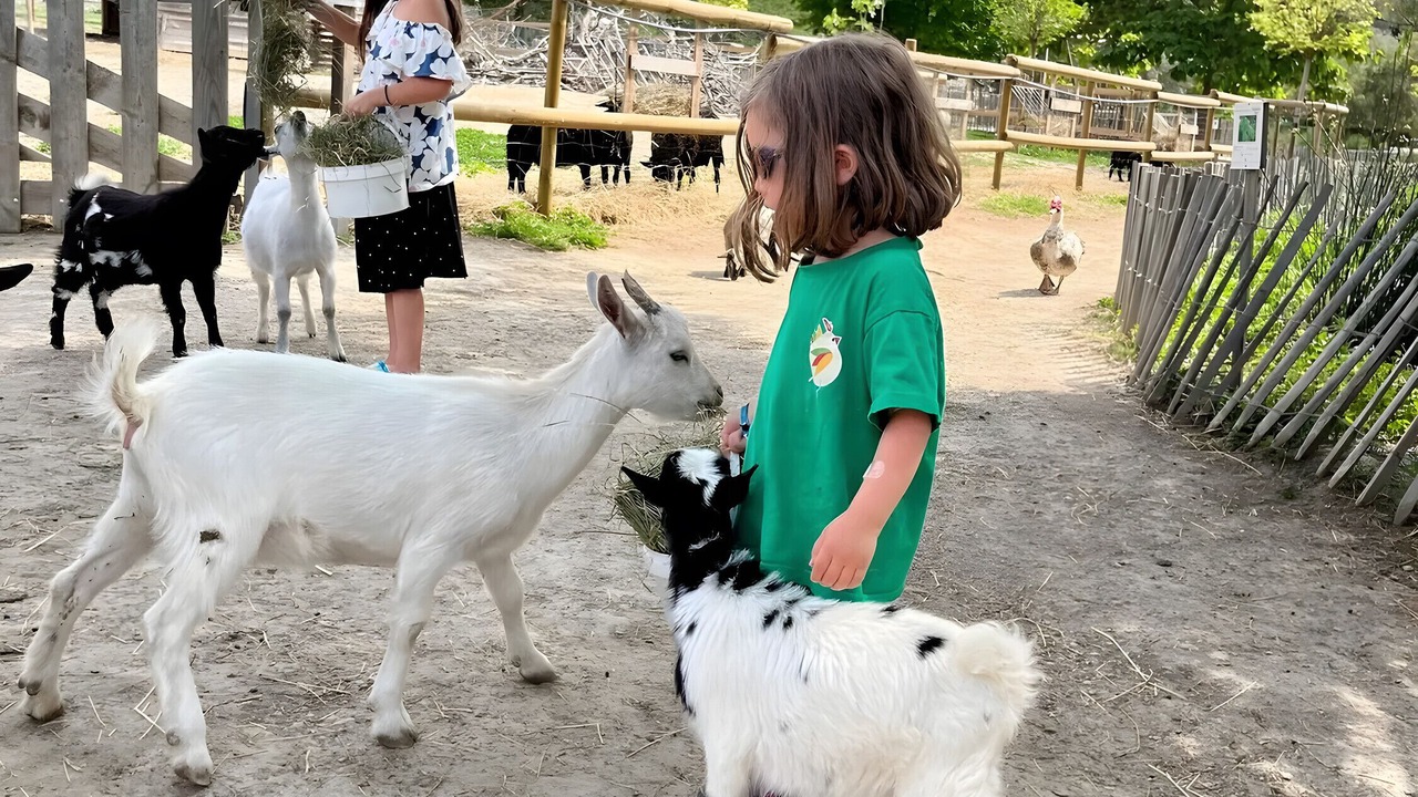Photo of Others in Le Pouget