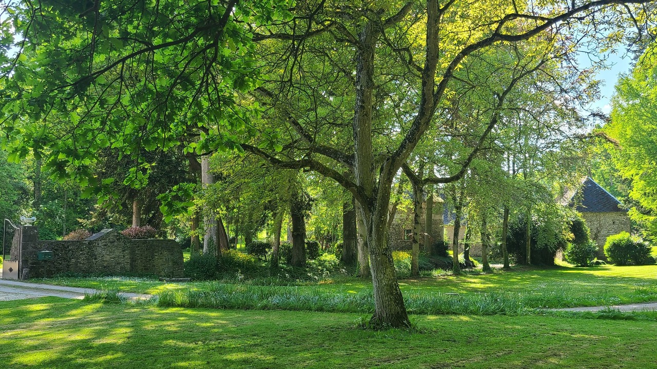 Photo of Outdoor in Miniac-Morvan