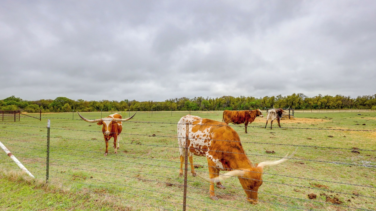 Photo of Others in Comanche County