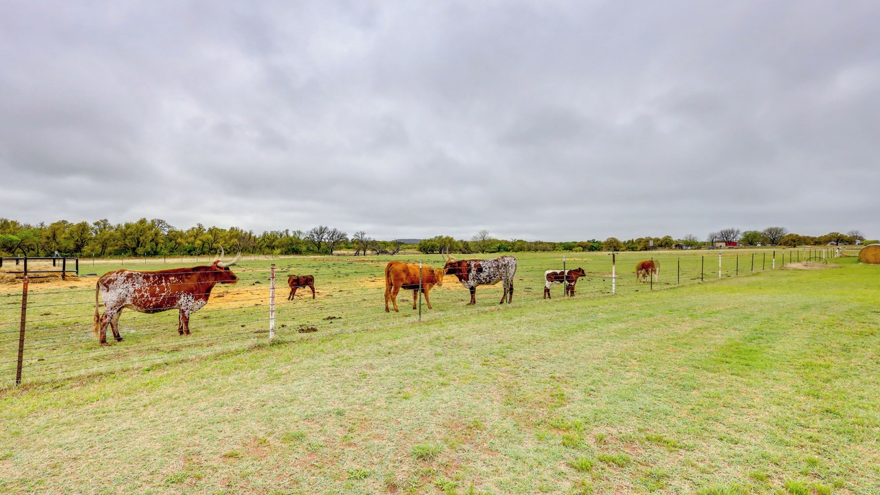 Photo of Others in Comanche County