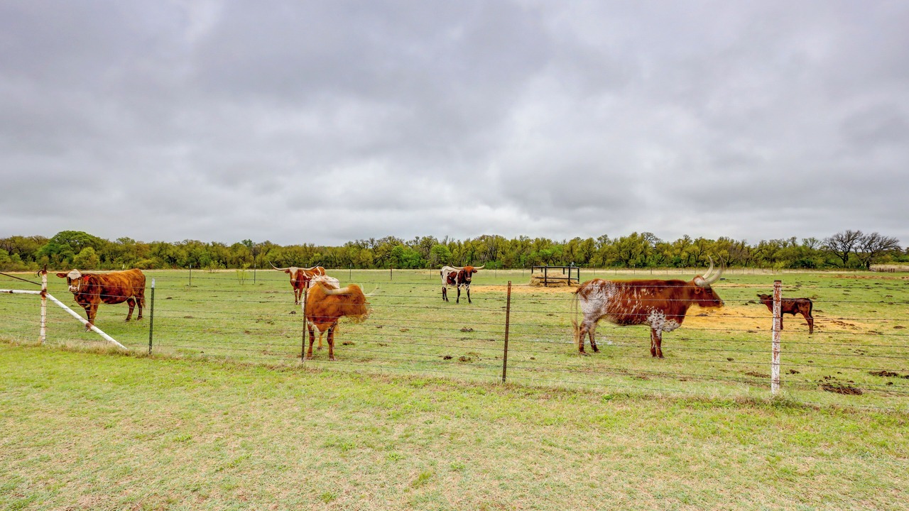 Photo of Others in Comanche County