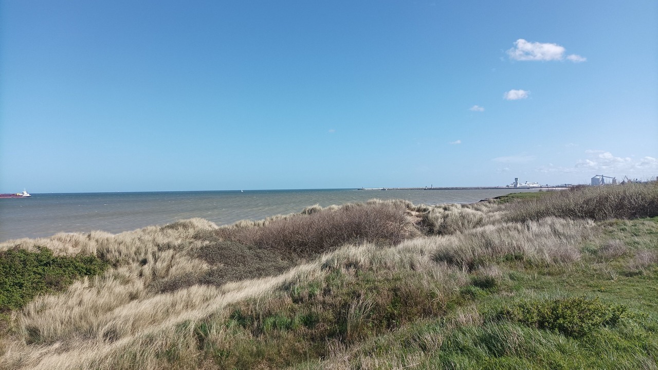 Photo of Others in Bleriot-Plage