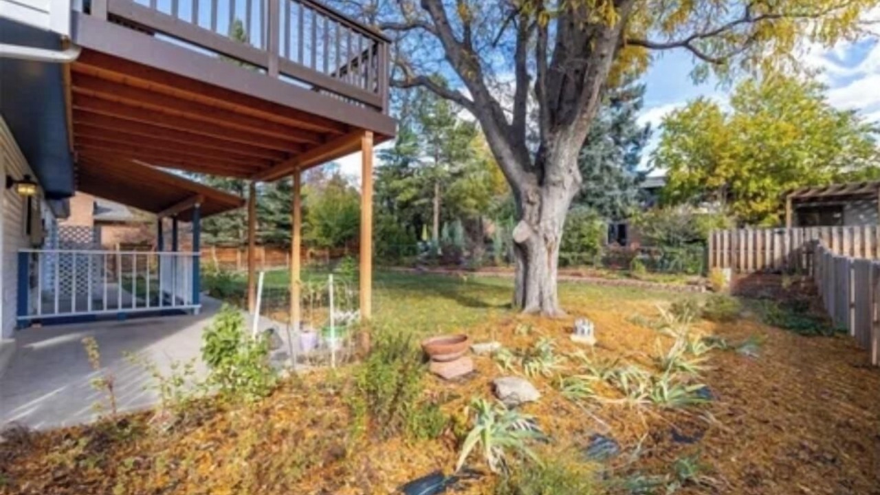Photo of Outdoor in Gunbarrel
