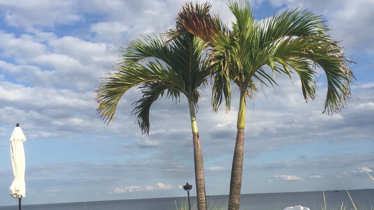 Photo of Others in Milford