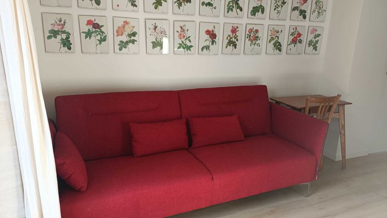 Photo of Livingroom in Cairon
