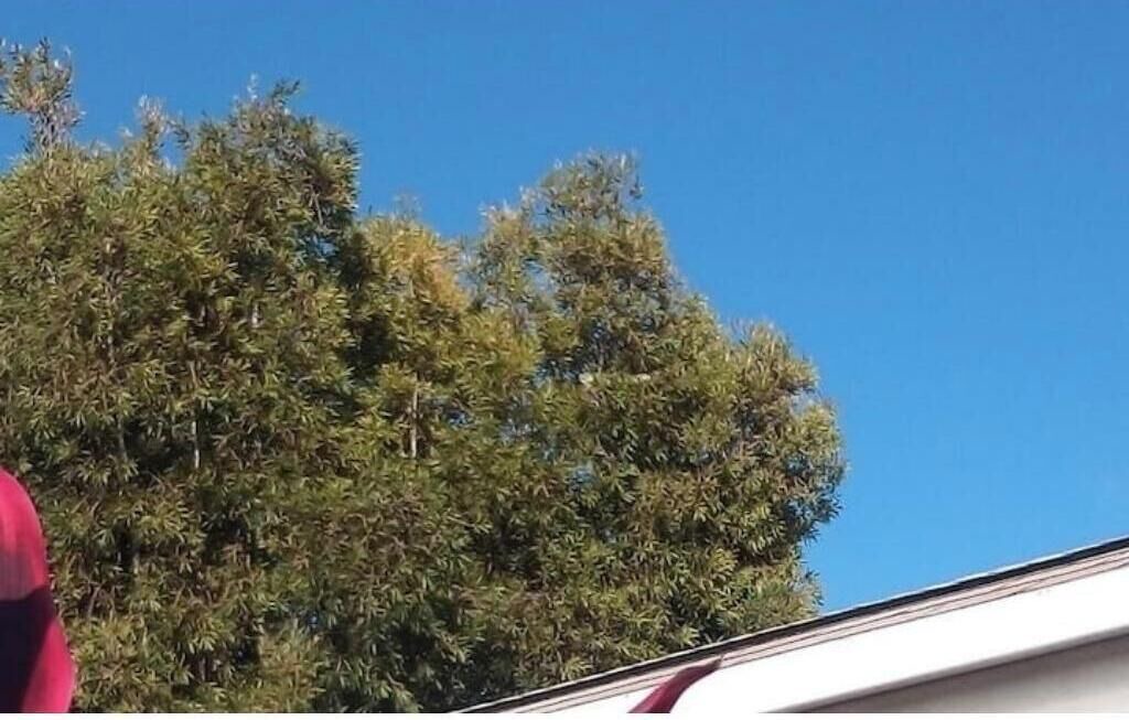 Photo of Others in Southwest