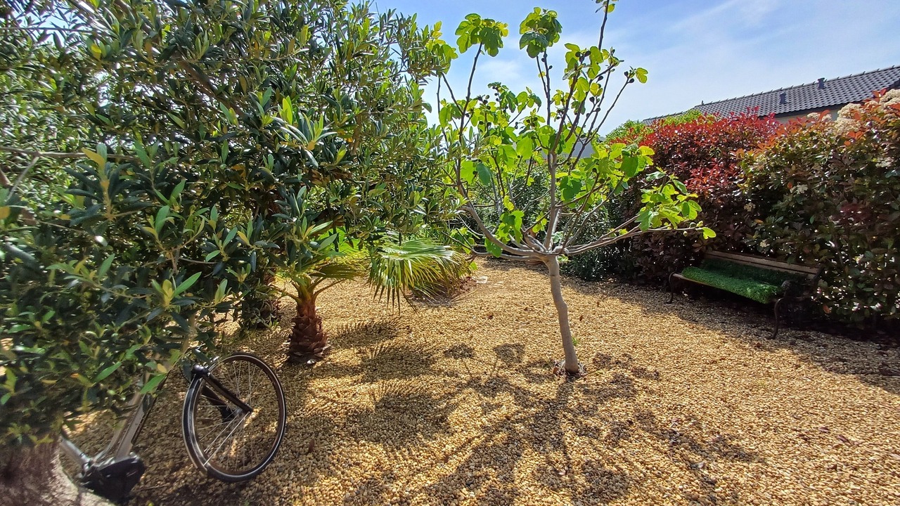 Photo of Outdoor in Pomerols