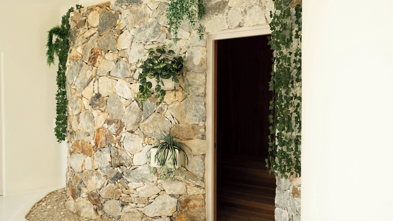Photo of Outdoor in Costa Careyes