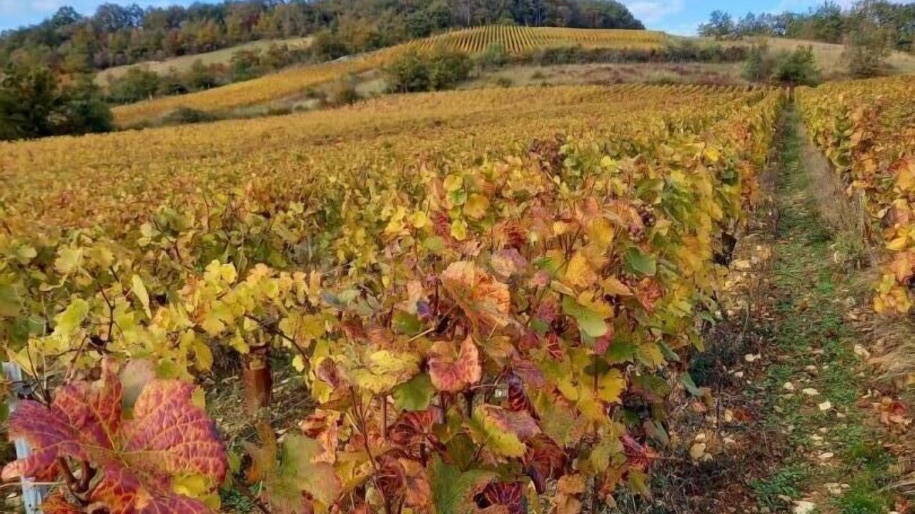 Photo of Others in Givry