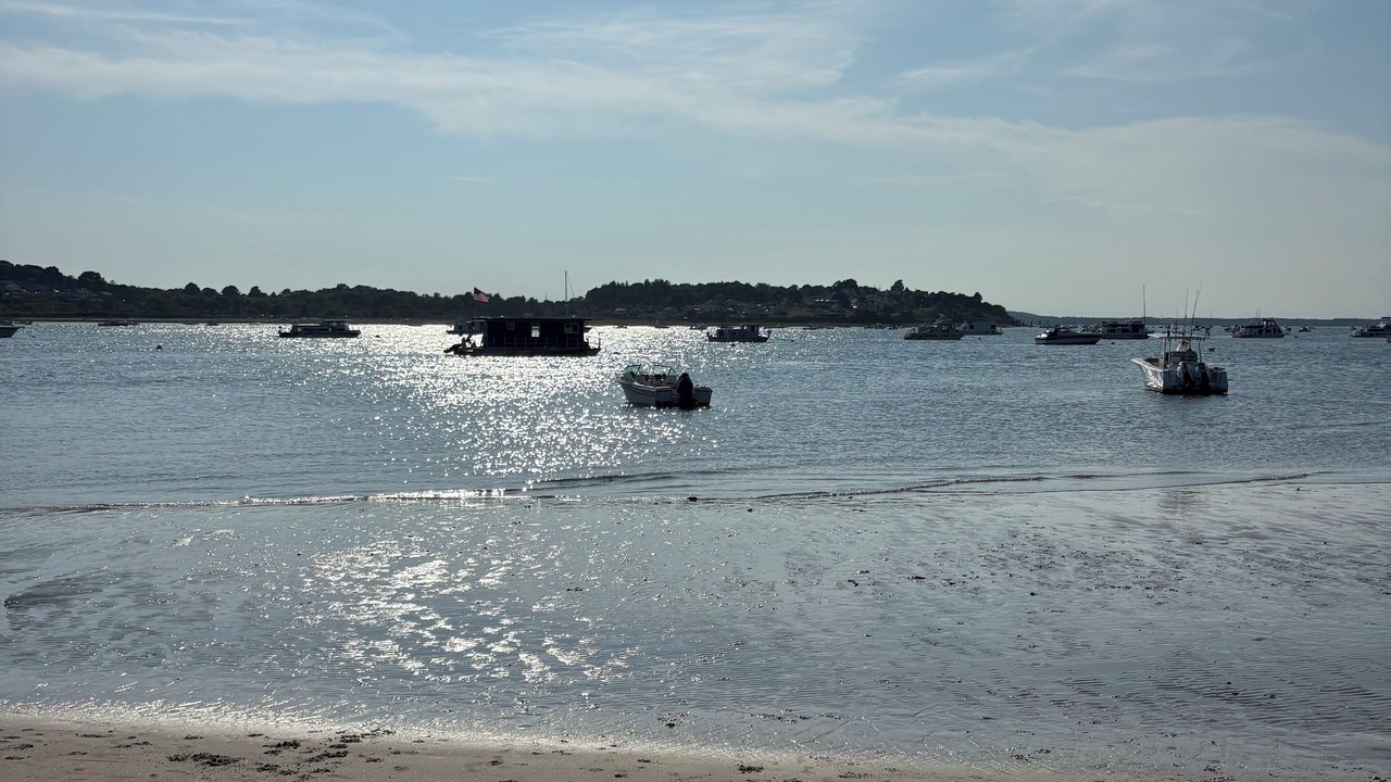 Photo of Others in Newbury