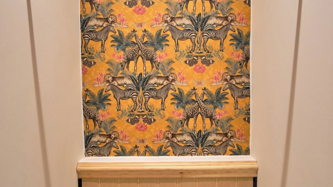 Photo of Others in Oban