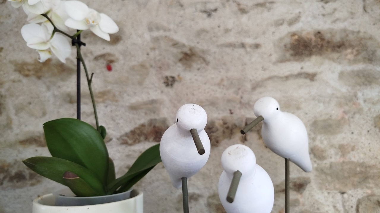 Photo of Others in Saint-Armel