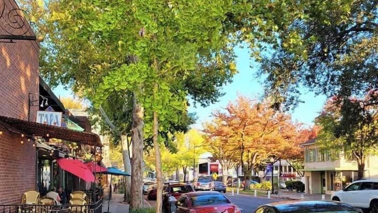 Photo of Others in Midtown Sacramento