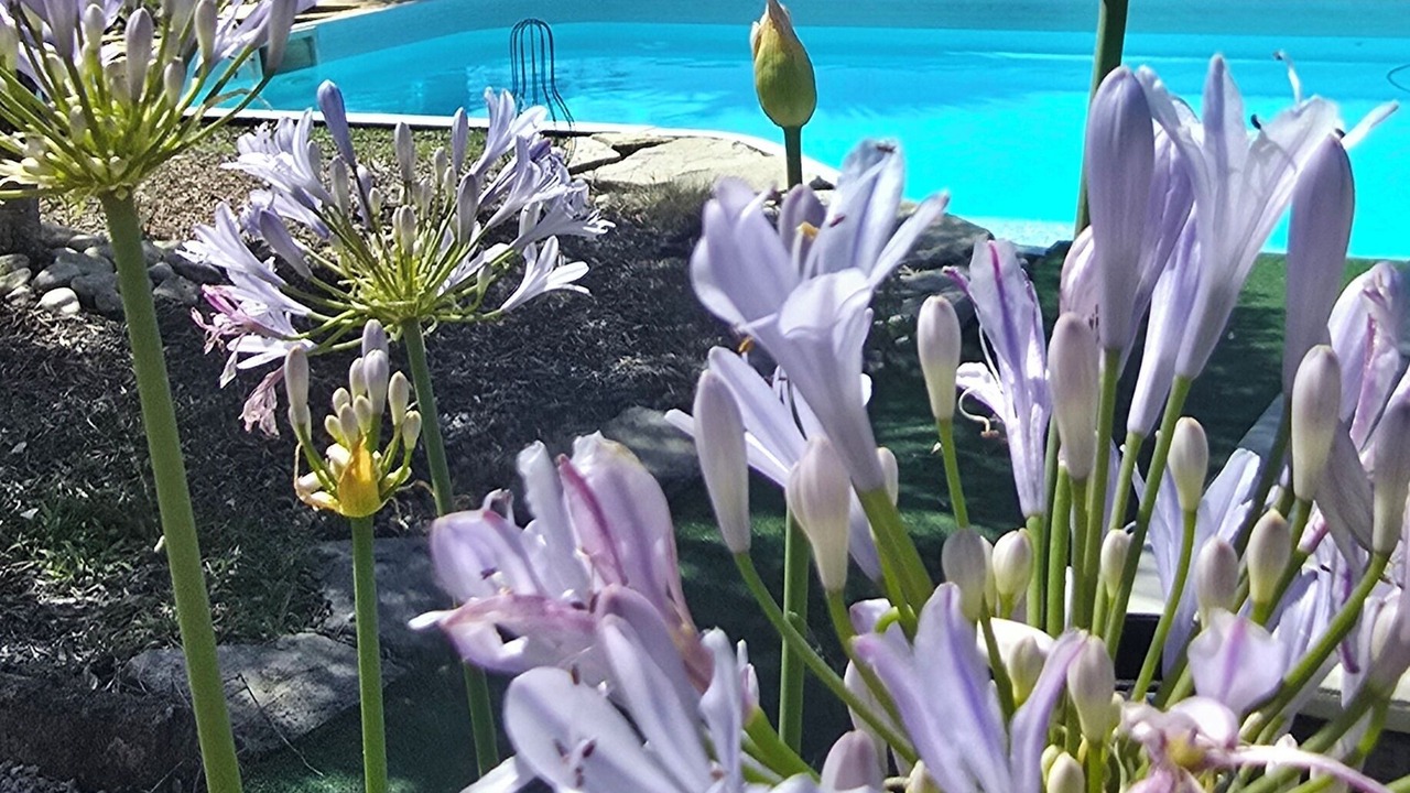 Photo of Outdoor in Coueilles