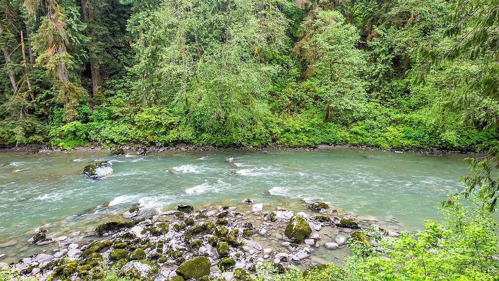 Photo of Others in Lime Kiln