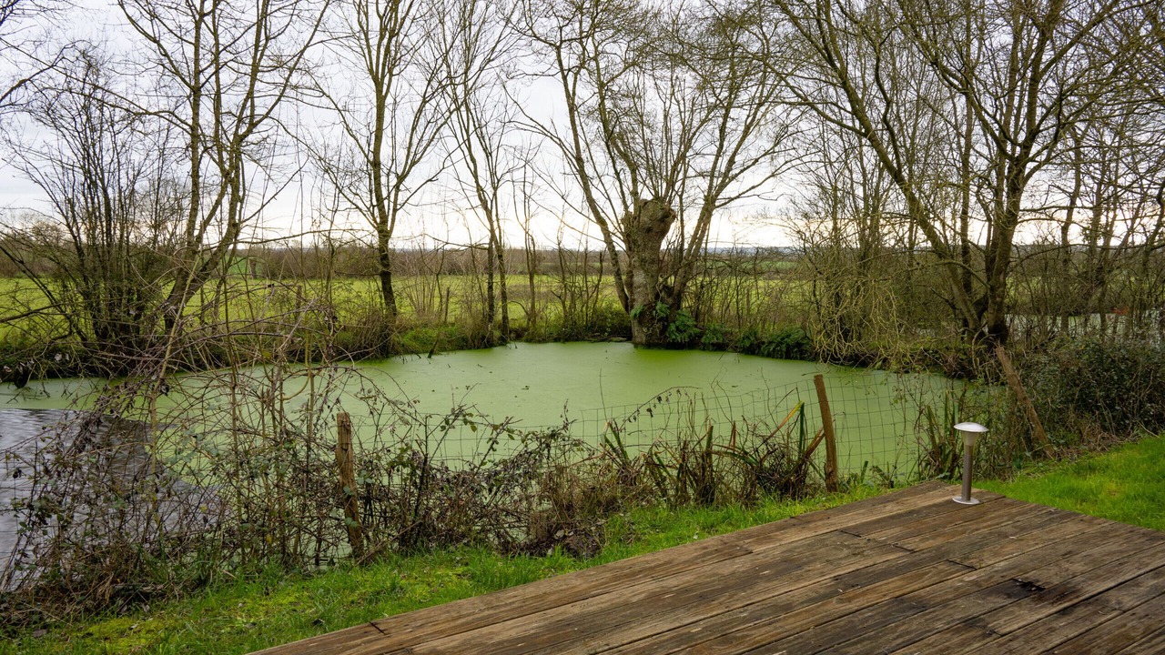 Photo of Outdoor in Vair-sur-Loire
