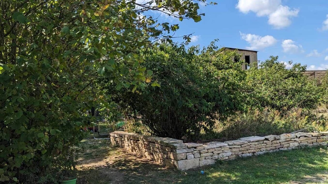 Photo of Outdoor in Saint-Sauvant