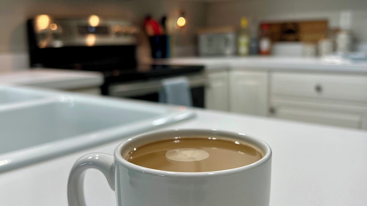 Photo of Kitchen in Heron Harbour Isle