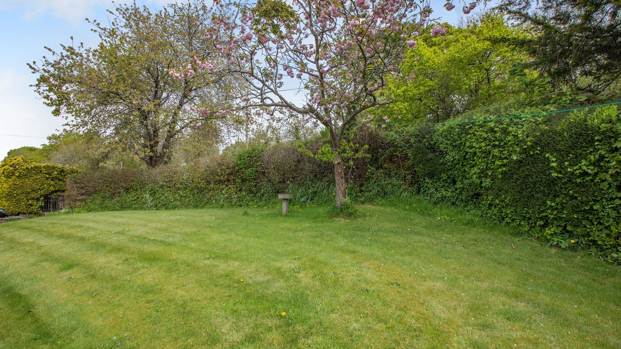 Photo of Outdoor in Axminster