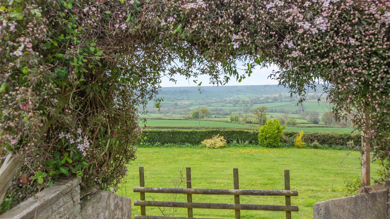 Photo of Outdoor in Axminster