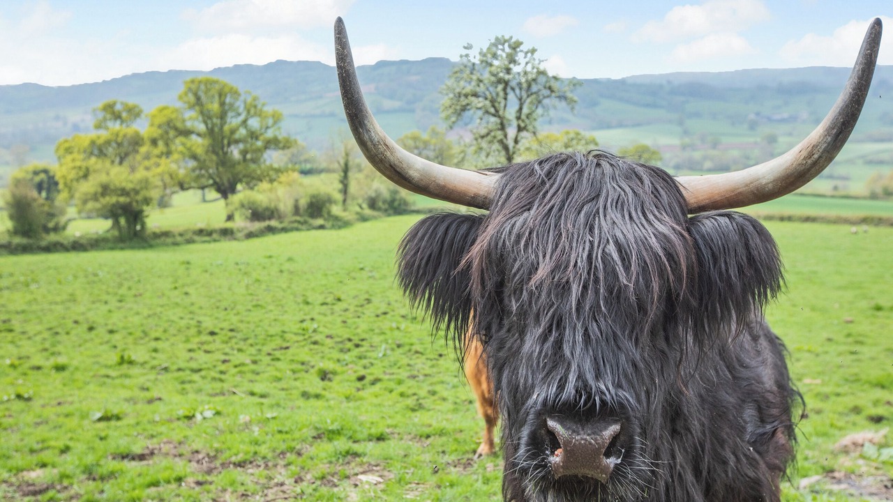 Photo of Others in Axminster