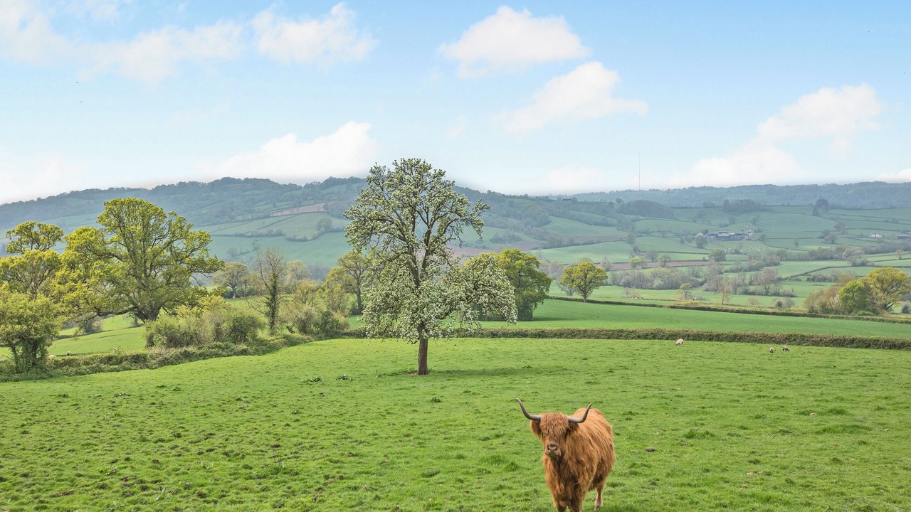 Photo of Others in Axminster