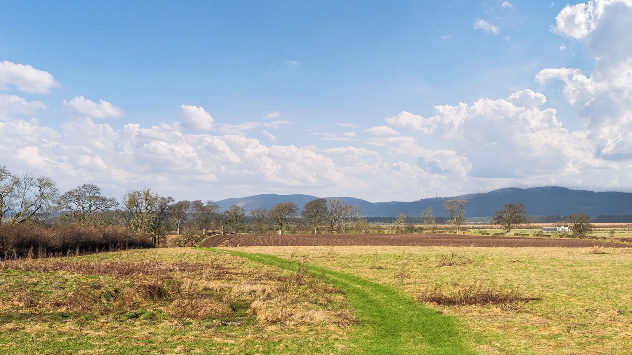 Photo of Others in Buchlyvie