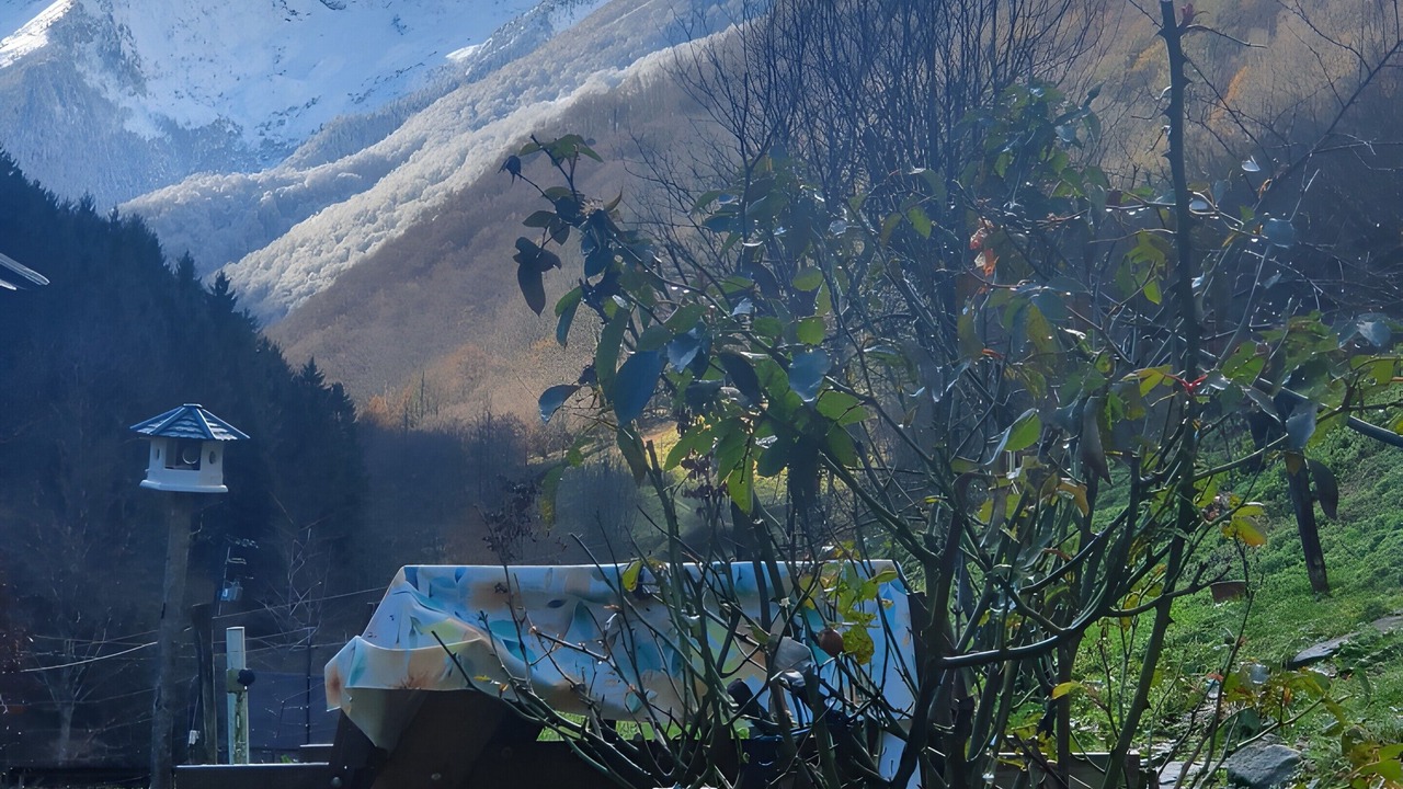 Photo of Outdoor in Bonac-Irazein