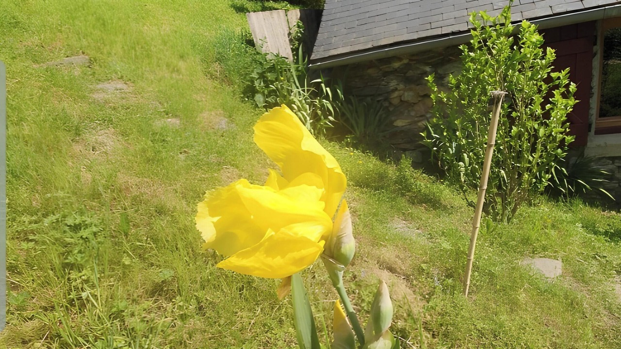 Photo of Outdoor in Bonac-Irazein
