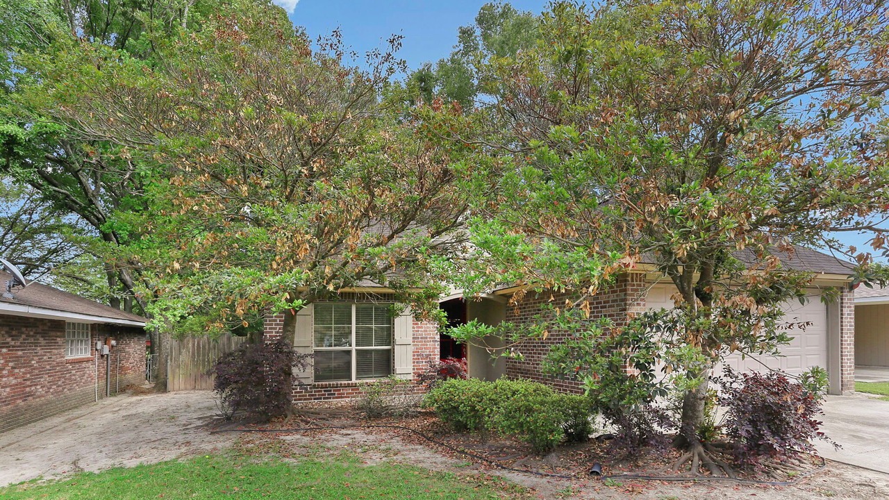 Photo of Outdoor in South Baton Rouge