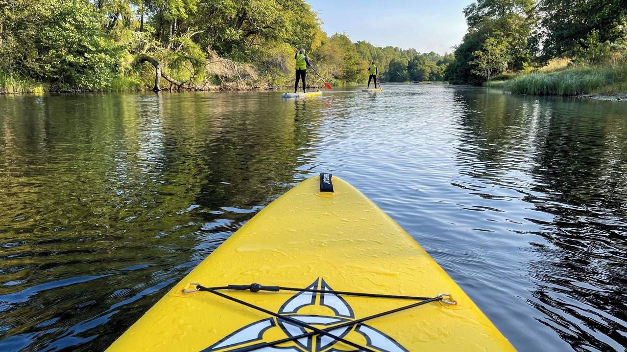 Photo of Others in Kincraig