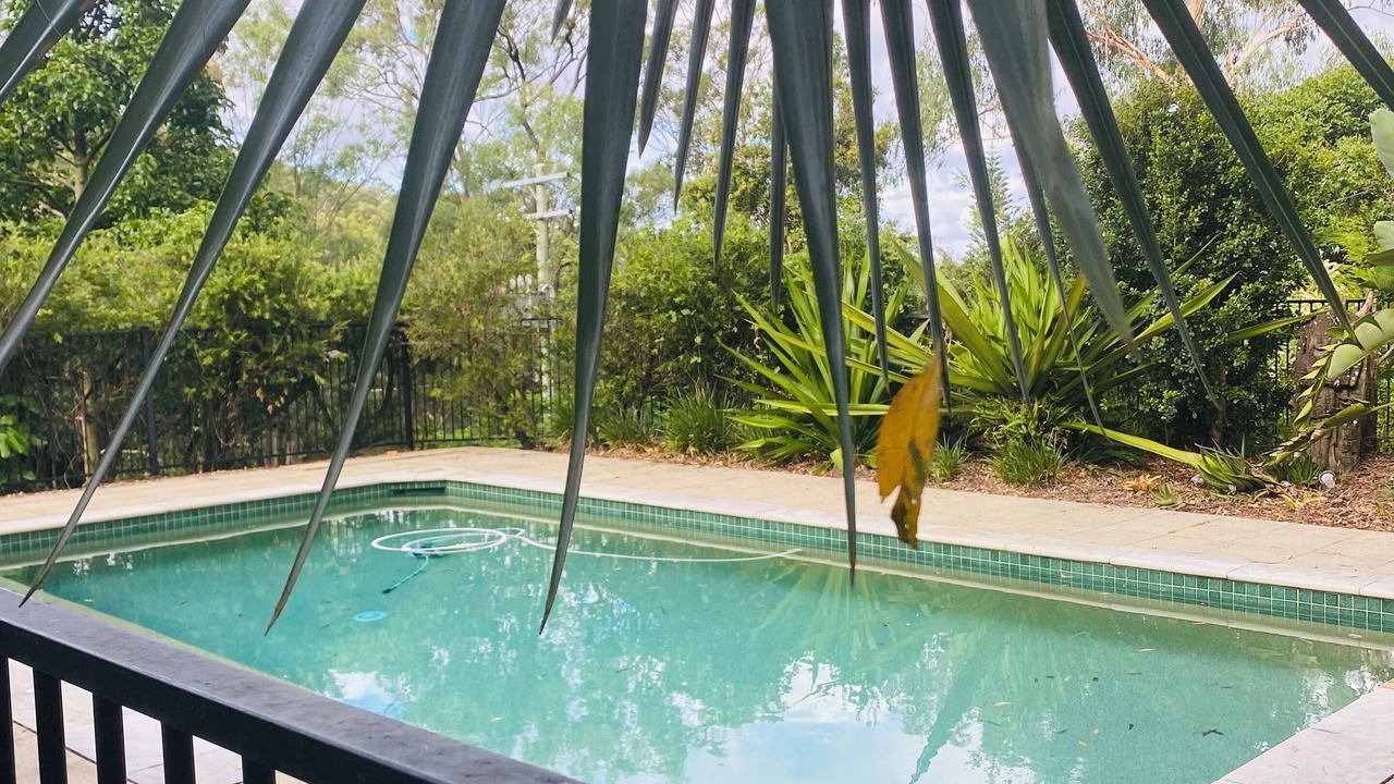 Photo of Outdoor in Bonogin