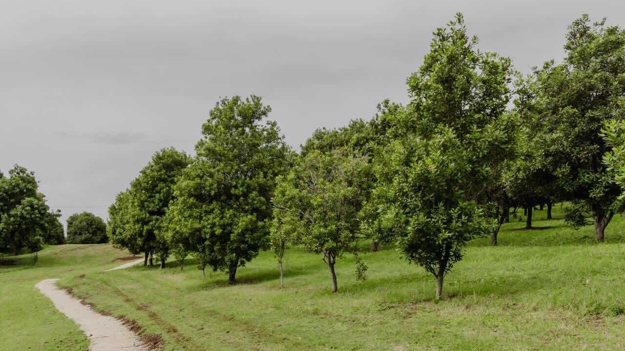 Photo of Others in Cumbalum