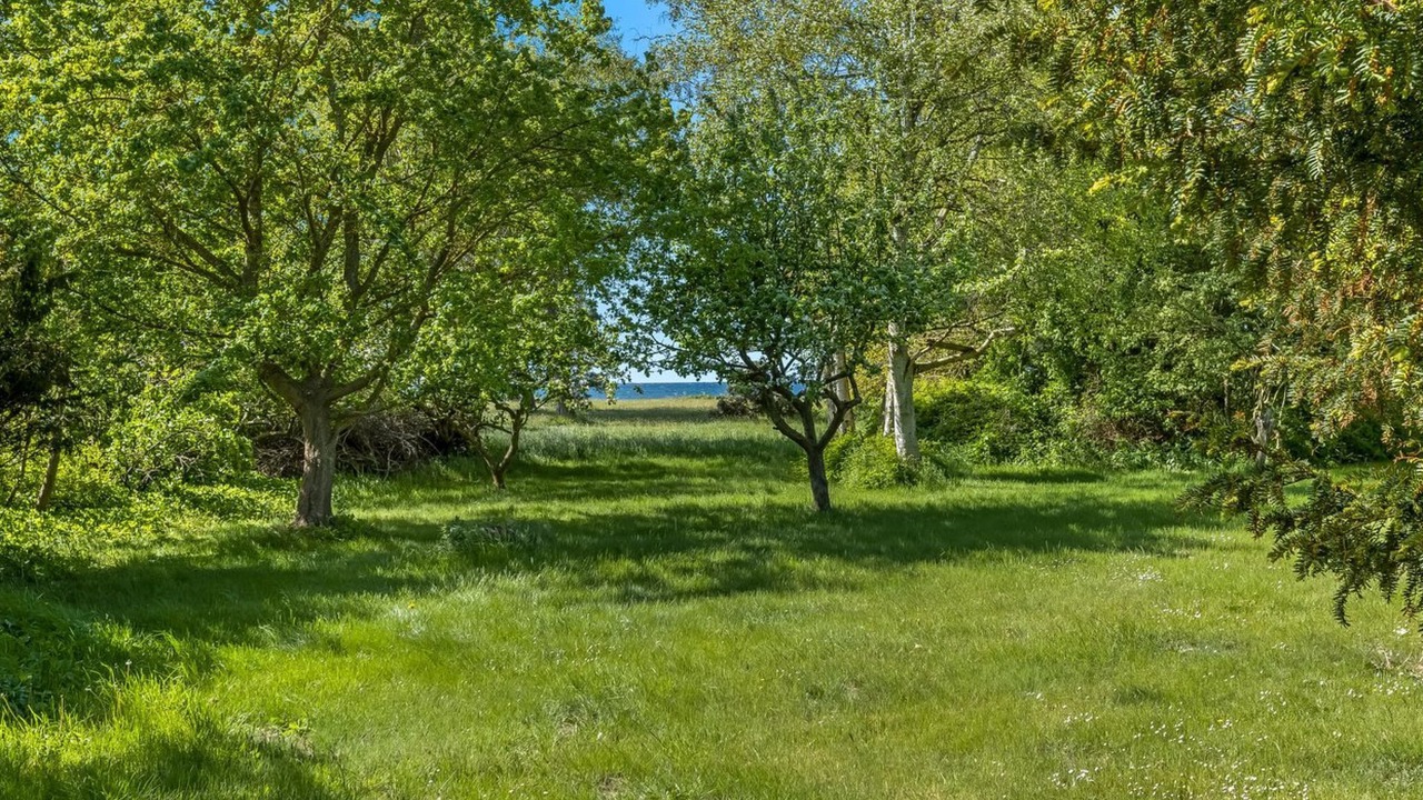 Photo of Others in Yderby
