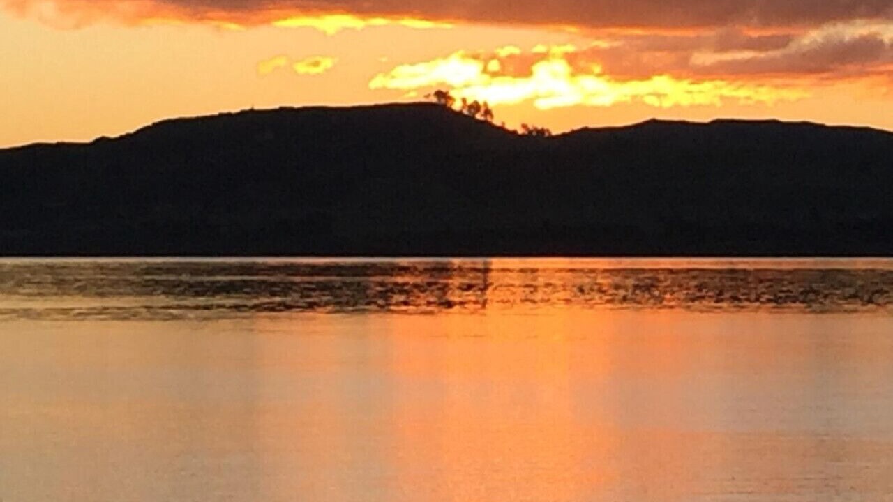 Photo of Others in Waipahihi