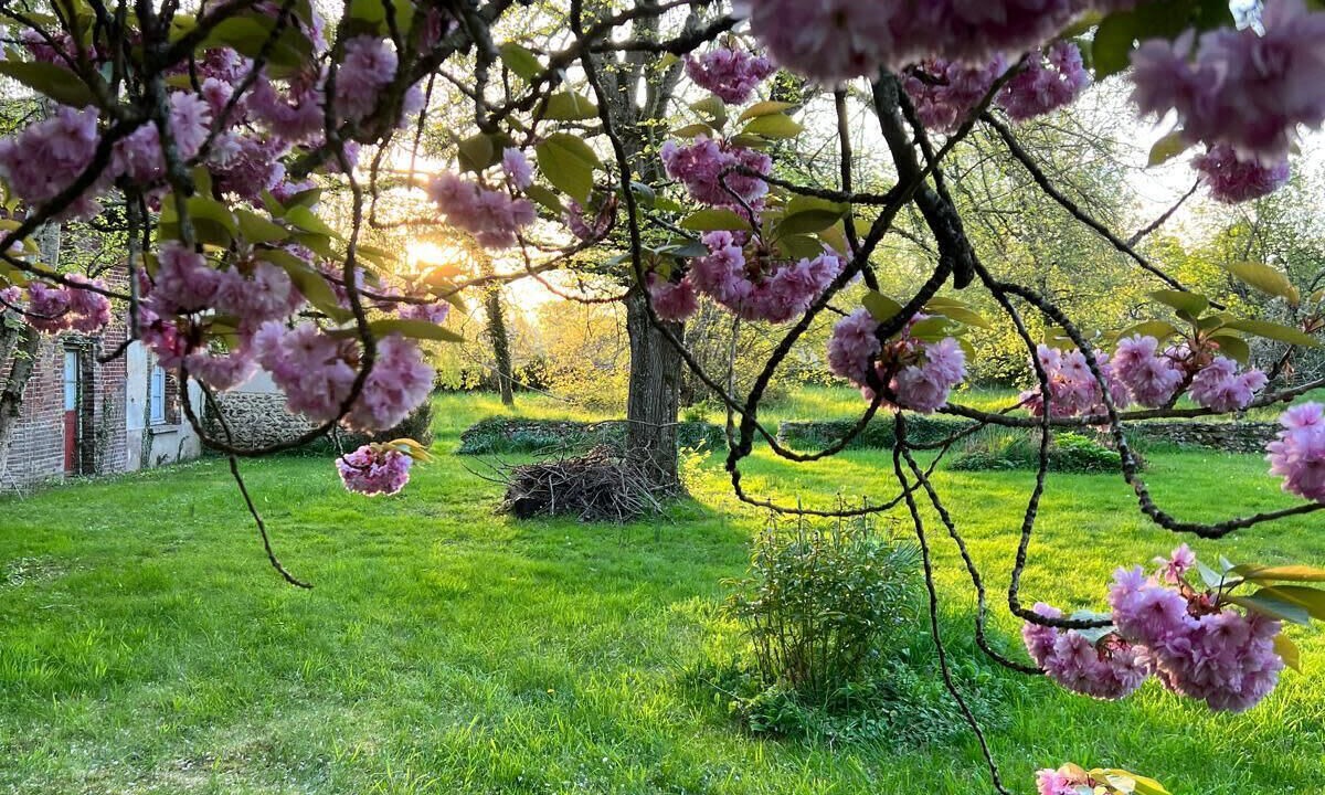 Photo of Outdoor in Conteville