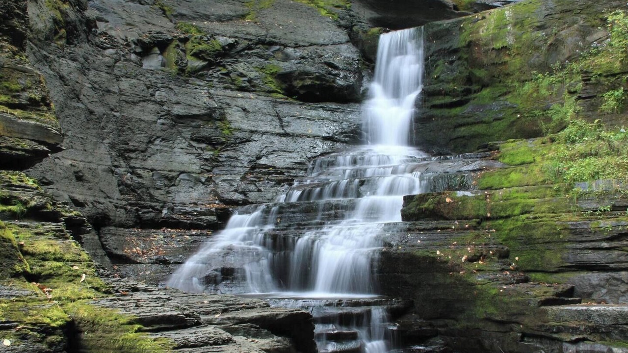 Photo of Others in Town of Fulton