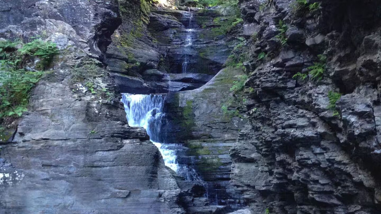 Photo of Others in Town of Fulton