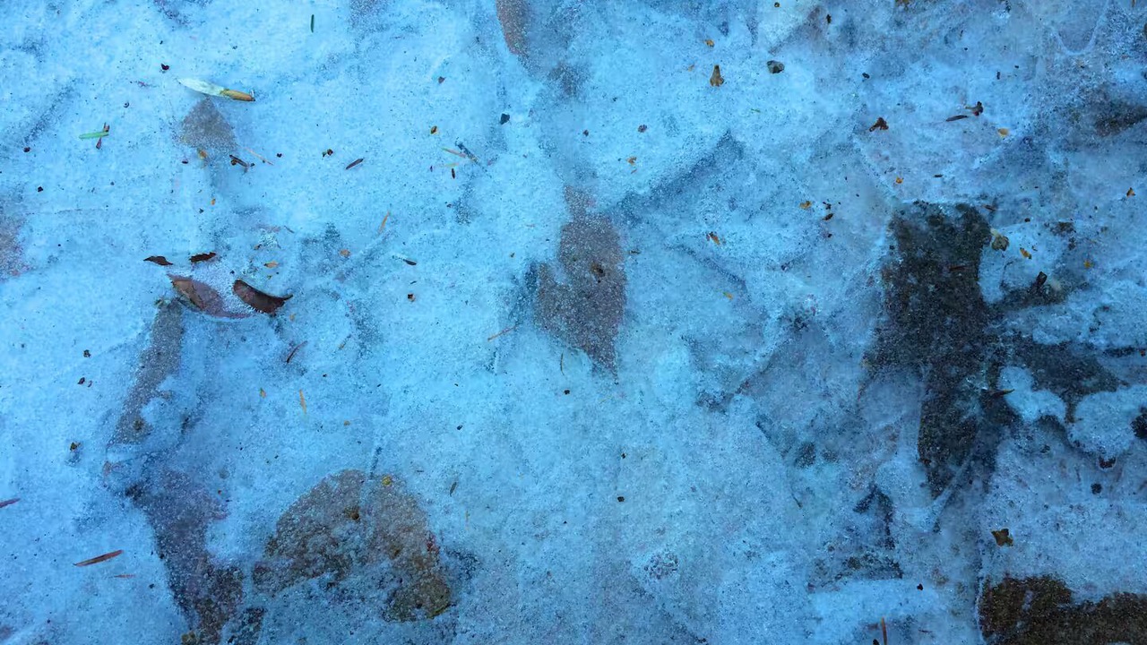 Photo of Others in Town of Fulton