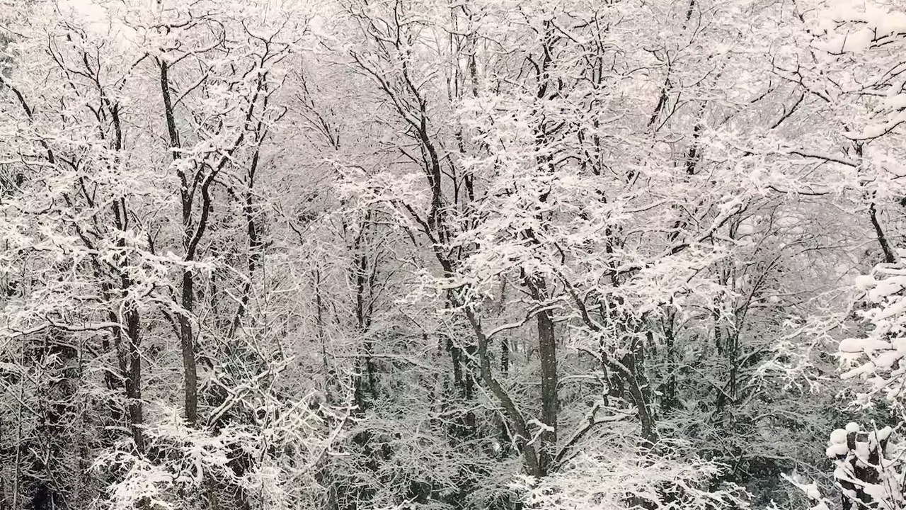 Photo of Others in Town of Fulton