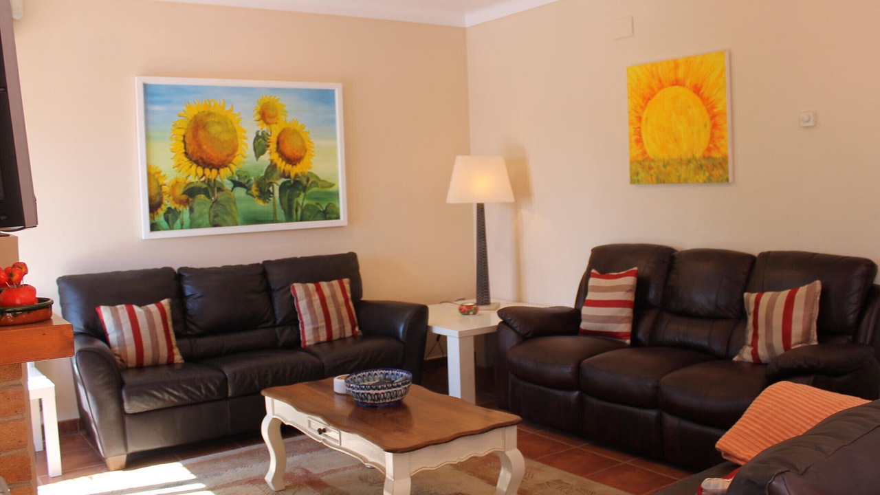 Photo of Livingroom in Pau