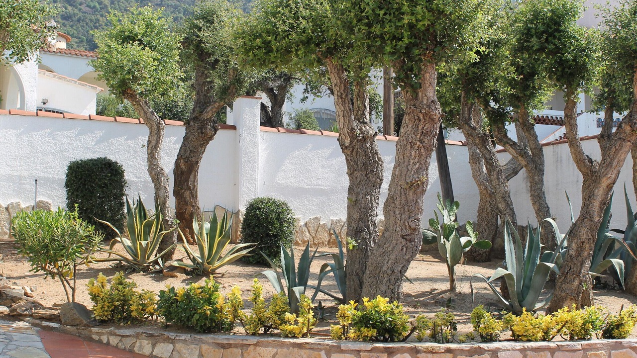 Photo of Outdoor in El Mas Fumats