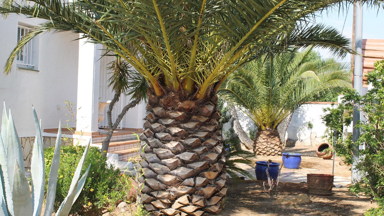 Photo of Outdoor in El Mas Fumats
