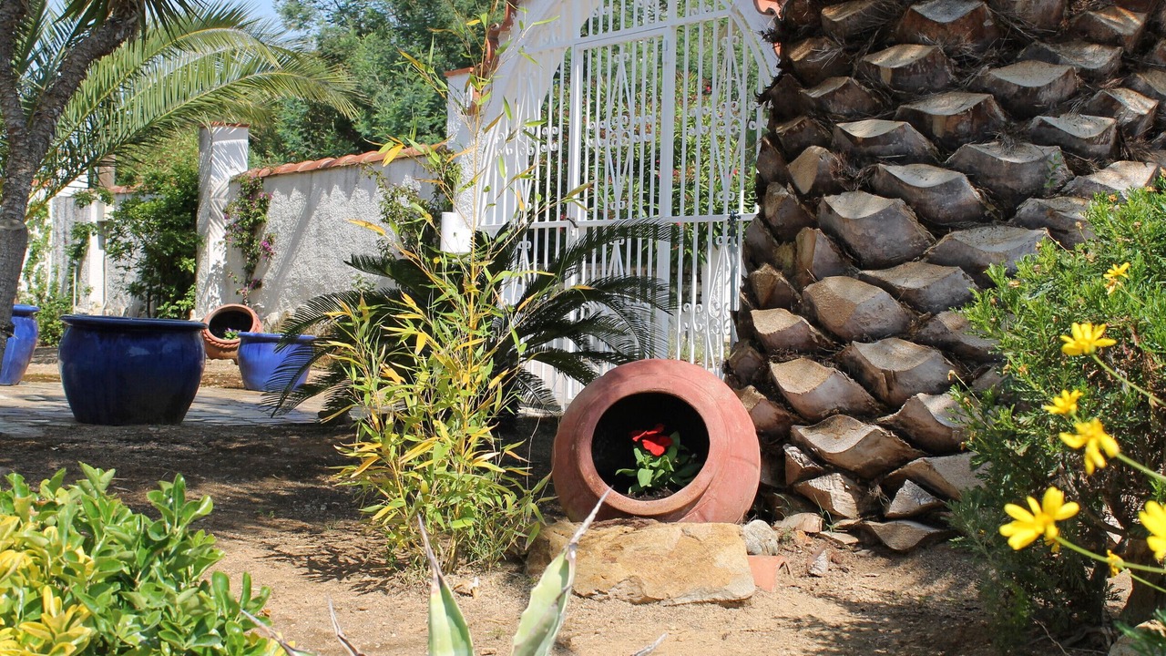 Photo of Outdoor in El Mas Fumats