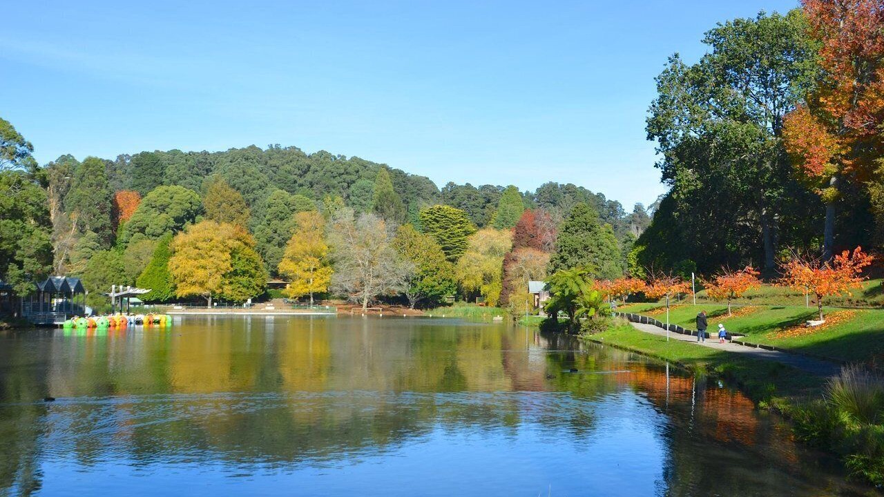 Photo of Others in Emerald