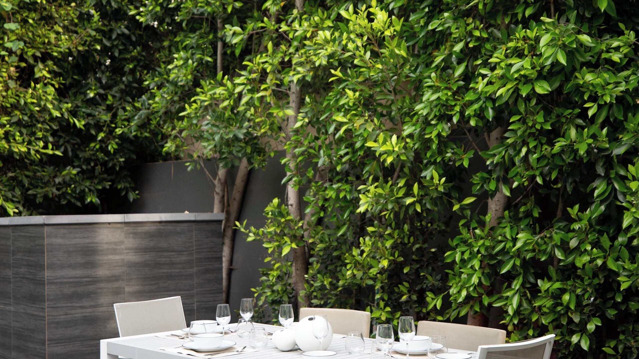 Photo of Outdoor in Melrose