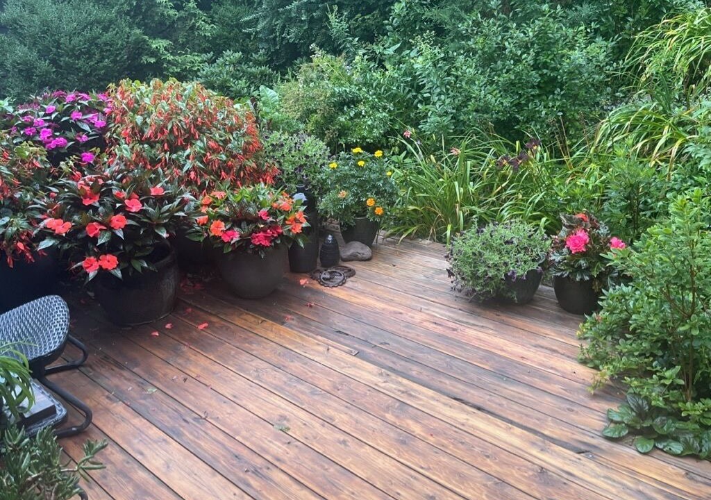 Photo of Patio Balcony in Delhi