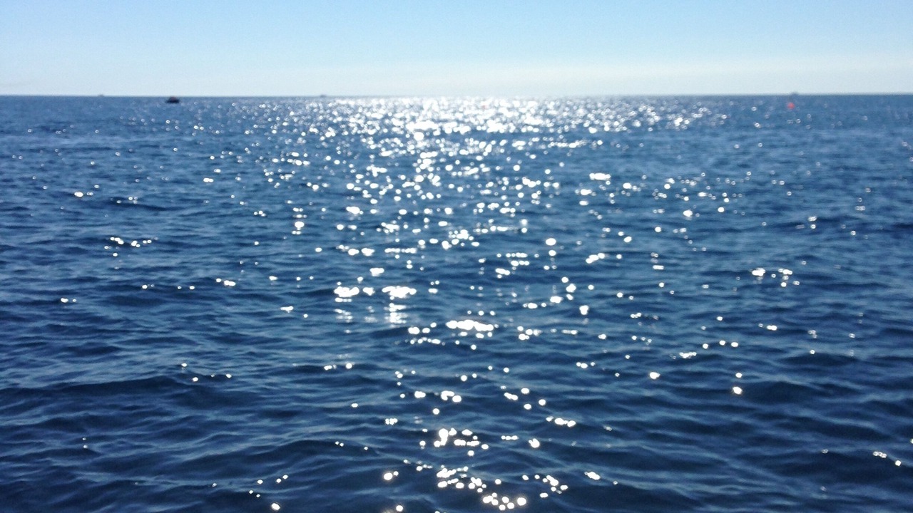 Photo of Others in Les Cabanes de Fleury