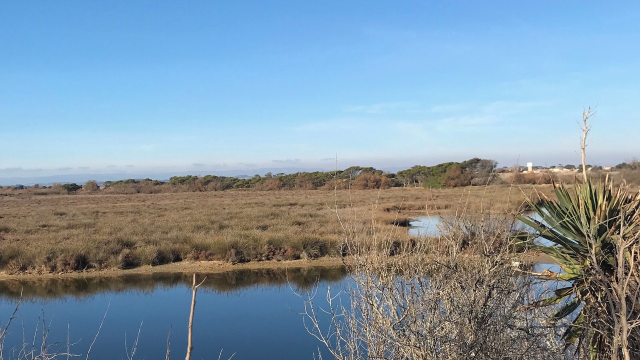 Photo of Others in Les Cabanes de Fleury