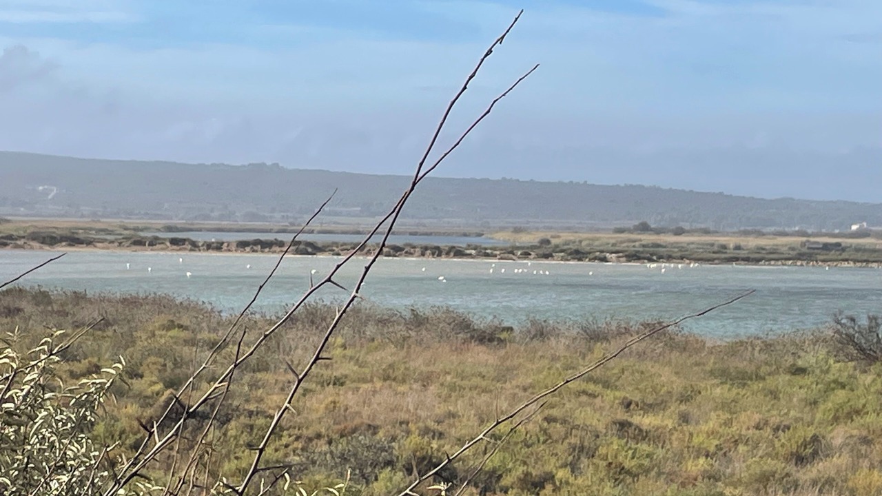 Photo of Others in Les Cabanes de Fleury